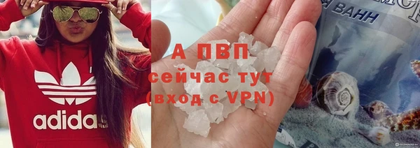 СК Верхний Тагил