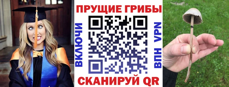 Галлюциногенные грибы мицелий  Купить  Новый Оскол 
